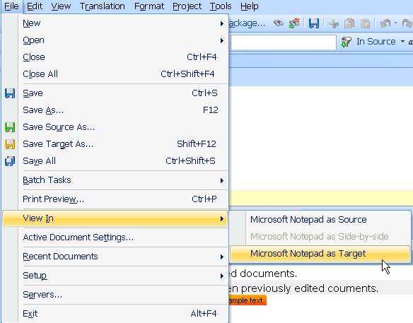 Implementing an External File Preview
